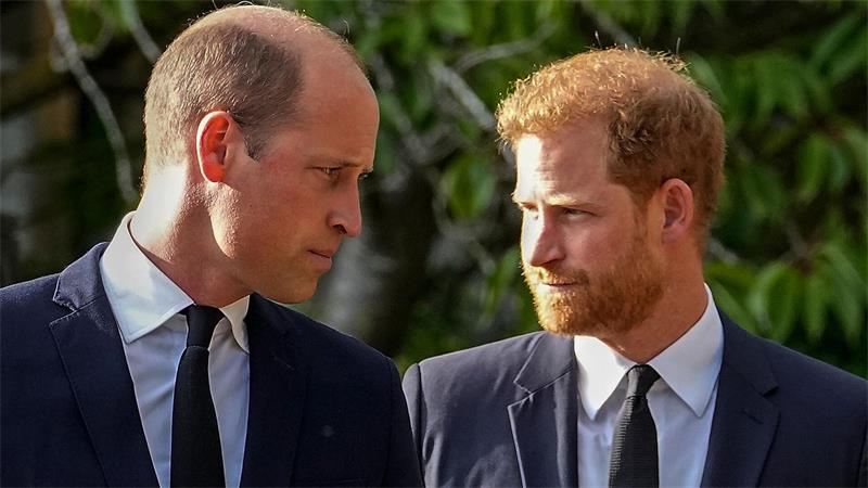 Bruderkrieg zum Todestag: Warum William und Harry streiten Knapp 30 Jahre nach dem Tod ihrer Mutter trennt die Brüder William und Harry ein tiefes Zerwürfnis. (Archivfoto)