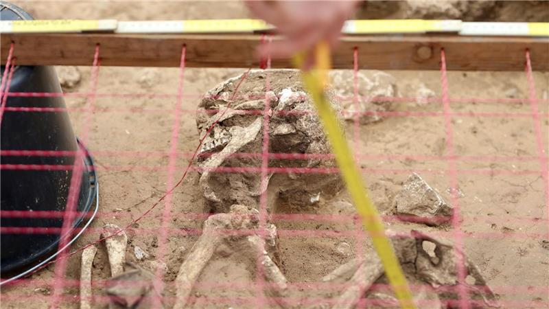 Funde aus Bronze- und frühen Eisenzeit in Windpark entdeckt Knochen und Skelette wurden bereits freigelegt.