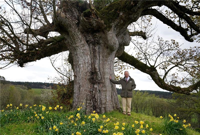 König Charles dankt für drei Millionen gepflanzte Bäume König Charles III. bedankt sich für die Beteiligung an der Initiative namens «Queen's Green Canopy» (QGC).