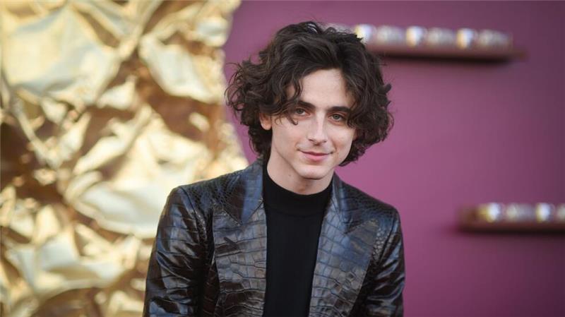 Neue Chefin, neues Festival? Das bringt die Berlinale 2025 Kommt Timothée Chalamet mit dem Biopic zu Bob Dylan zur Berlinale? (Archivbild)