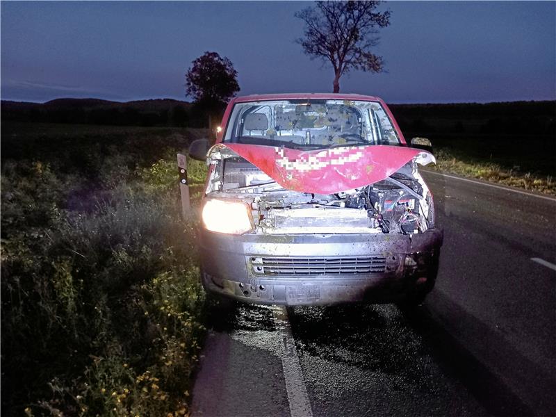 Komplett zerstört ist die Front des Transporters, mit dem der Fahrer auf der B 248 bei Lutter zwei Tiere der Eselherde erfasst hatte. Foto: Polizei
