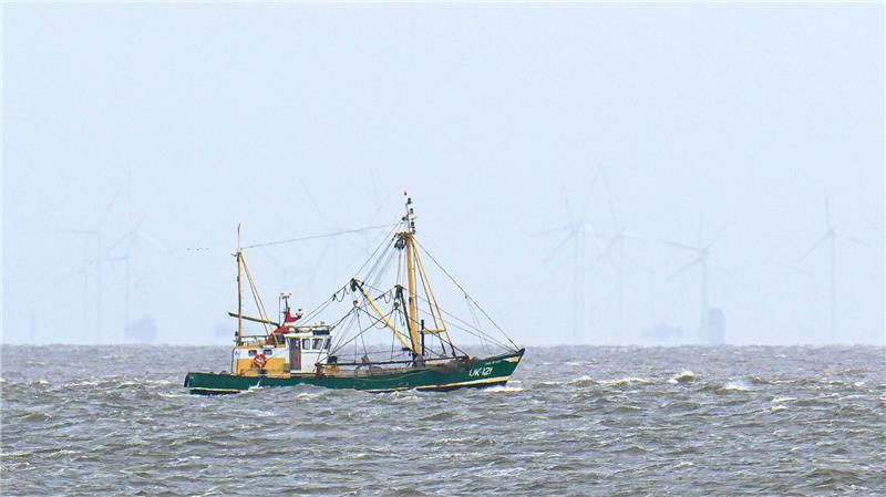 Krabbenfischer verlieren vor Gericht (Foto-aktuell).