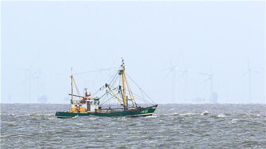 Krabbenfischer verlieren vor Gericht (Foto-aktuell).