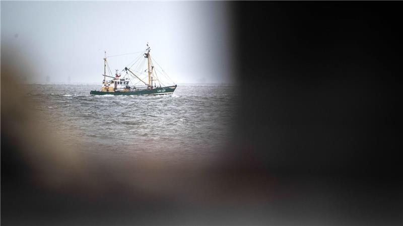 Krabbenfischer verlieren vor Gericht (Foto-aktuell).