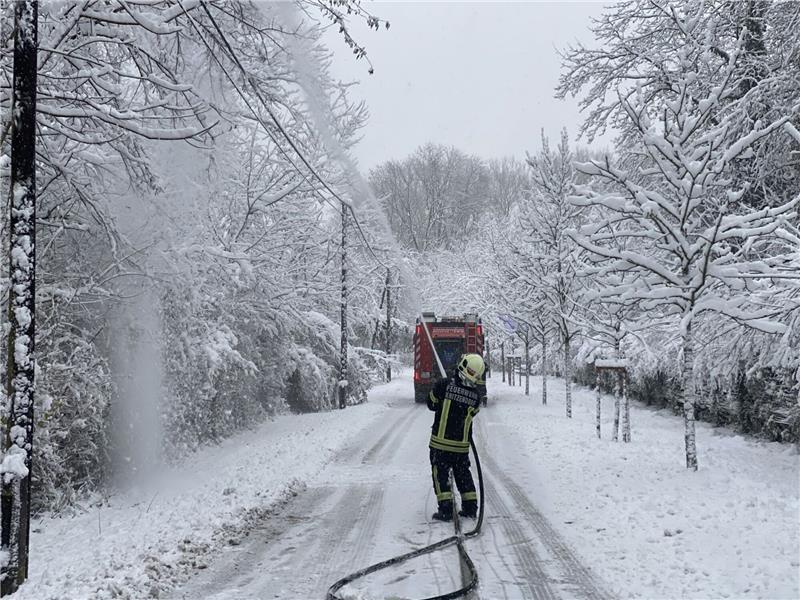 Österreich: Noch 20.000 Haushalte ohne Strom Kräfe der Feuerwehr im Einsatz in Kritzendorn, um Stromleitungen vor herabfallenden Ästen zu schützen.