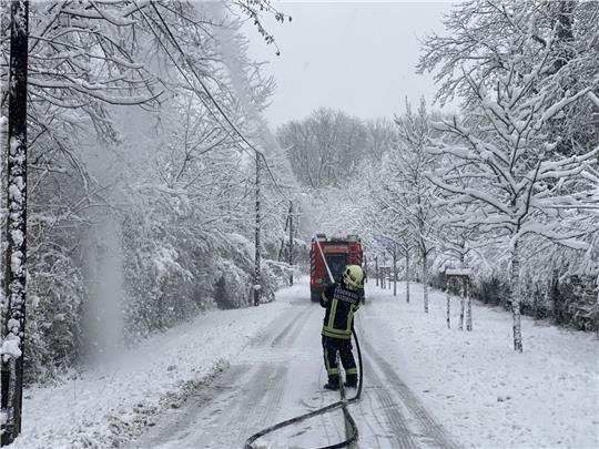 Kräfe der Feuerwehr im Einsatz in Kritzendorn, um Stromleitungen vor herabfallenden Ästen zu schützen.
