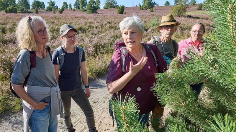 Brennnesseln statt Chia: Kräuterwanderung zur Heideblüte Kräuterfachwirtin Marion Putensen (M) in der Lüneburger Heide.
