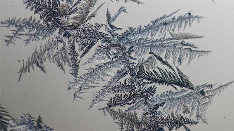 Kratzer, Staub und Rillen im Glas dienen als Startpunkt für das Wachstum der Eisblumen. (Archivbild)