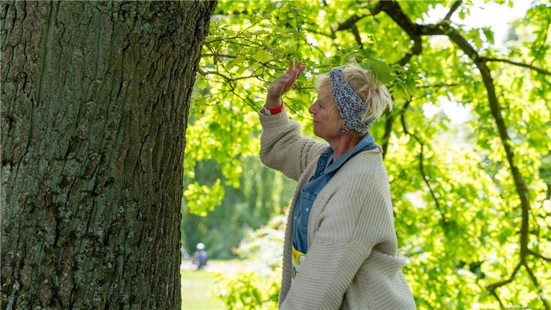 Titelträger im Baum-Umarmen: „Da sind wir jetzt Vorreiter“ Kreativität und Innigkeit sind gefragte Aspekte beim Baum-Umarmen.