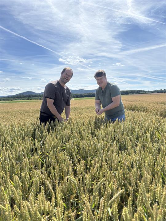 Das Bild zeigt zwei Landwirte, die in einem Weizenfeld stehen.