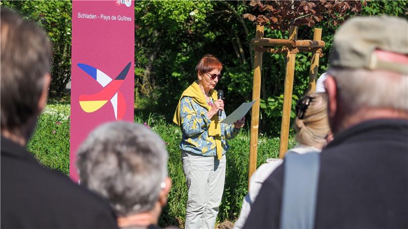 Partnerschaftsverein Schladen begrüßt Freunde aus Frankreich Kristina Bartels enthüllt den diesjährigen Freundschaftsbaum in Hornburg. Foto: Privat
