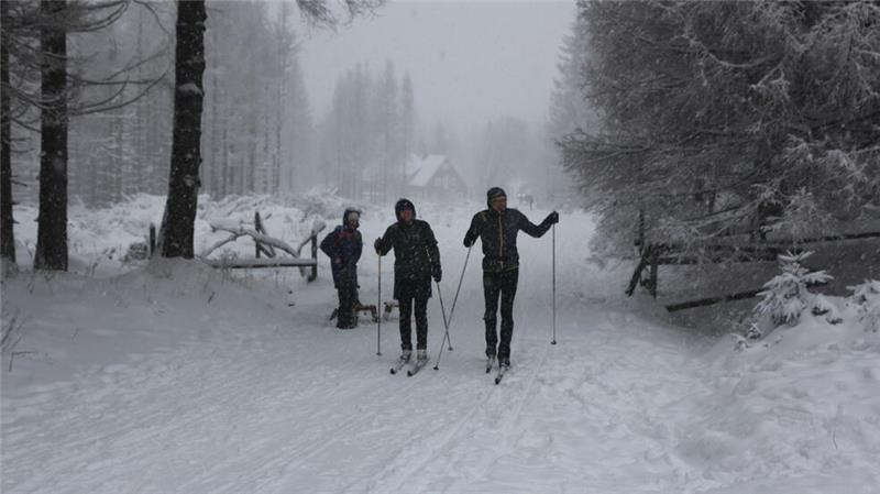 Künftig ändert sich die Führung der Loipen im Bereich Königskrug, dadurch soll bei geringer Schneelage besser gespurt werden können.