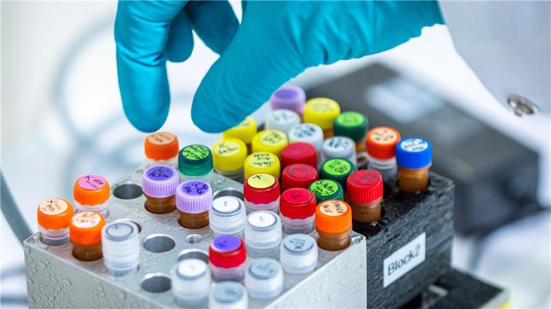 Künftig sollen auch Patente für gentechnisch veränderte Pflanzen möglich sein.