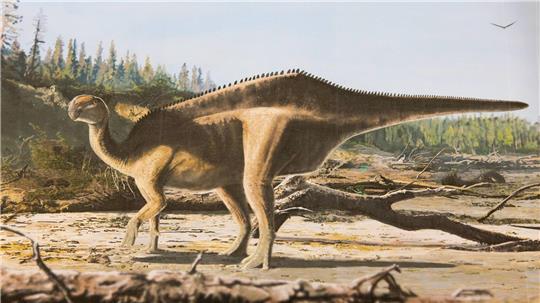 Künstlerische Darstellung von Istiorachis macaruthurae