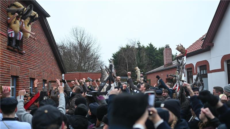 Kuhhörner gehören nach wie vor Fest zur Tradition um Klaasohm. (Archivbild)
