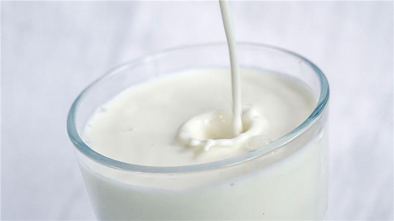 Kuhmilch - von Natur aus voller wichtiger Nährstoffe, aber in der Herstellung nicht unbedingt  gut für sie Umwelt