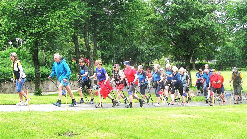 Bunt gekleidete Menschen laufen zusammen mit Nordic-Walking-Stöcken an einer Wiese vorbei.