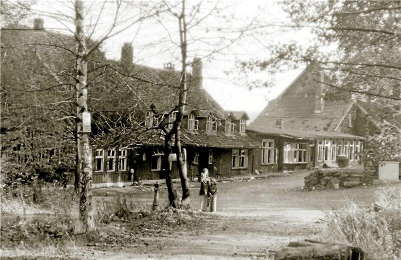 Bad Harzburger Molkenhaus brennt, Feuerwehr schaut zu Kurz vor dem Brand: Das alte Molkenhaus ist bereits eine Ruine. Der Standort ist unterhalb des heutigen Molkenhauses gelegen, ungefähr dort, wo der Spielplatz ist.