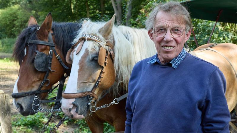 Brennnesseln statt Chia: Kräuterwanderung zur Heideblüte Kutscher Jürgen Hillmer zur Heideblüte.