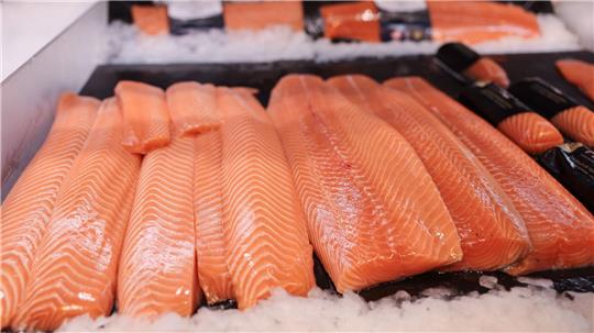 Lachs war auch 2024 der beliebteste Fisch der Deutschen. (Archivbild) 