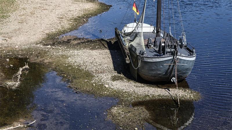Lahm gelegt: Ein Schiff liegt im Rheinarm an der Insel Grafenwerth auf Grund.