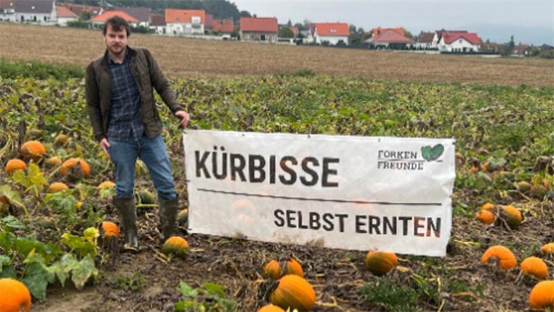 Hier gibt es Kürbisse in der Region Landwirt Arne Stoevesand auf seinem Kürbisacker.