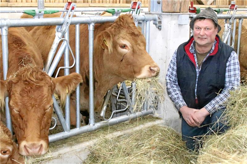 Landwirt Heiner Schulte schwärmt von seinem neuen großen Stall. Beim Entrinden einer 160 Jahre alten Fichte (kleines Bild) beschließt er, dass sie nicht im Container landen soll.  Foto: Privat