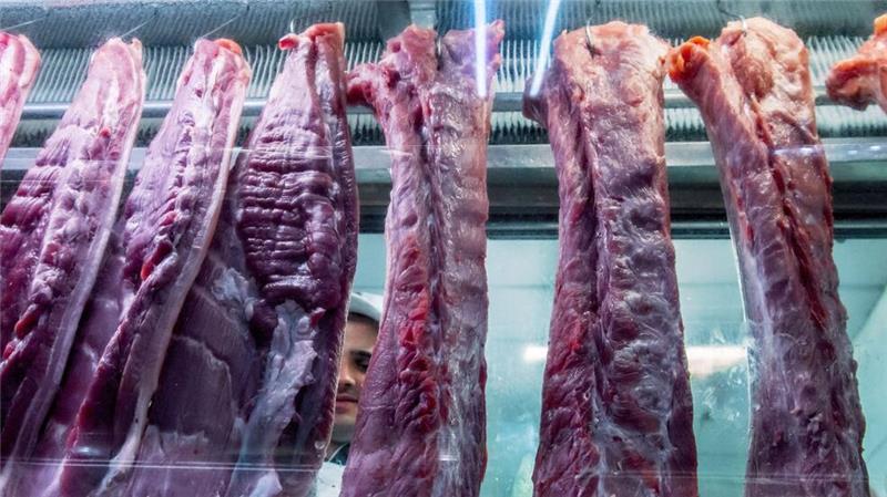 Freihandelsabkommen zwischen EU und Mercosur auf Zielgeraden Landwirte in der EU fürchten unter anderem die Konkurrenz bei Rindfleisch aus Südamerika. (Archivbild)
