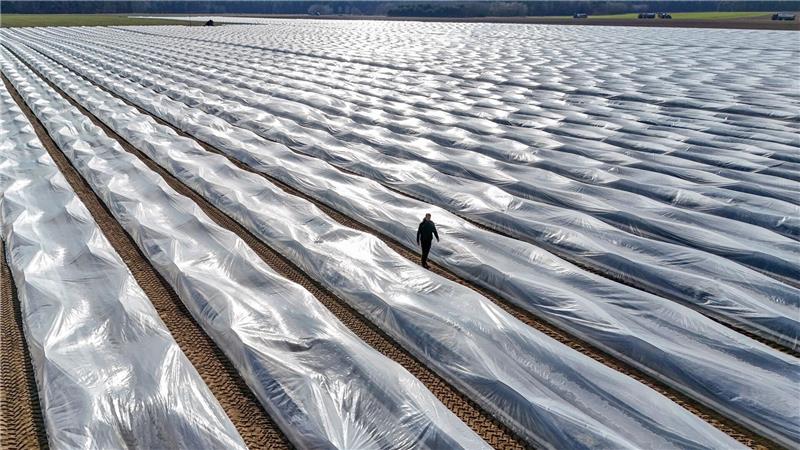 Lange Folien auf den Erdwällen verwandeln die Felder monatelang in gigantische Plastikwüsten.