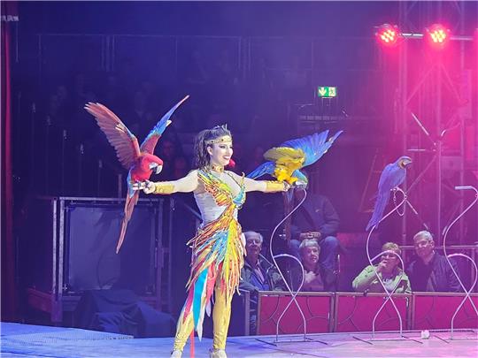 Laura begeistert mit ihrer Papageien Nummer. Foto: Sowa