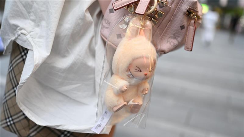 Laut Experten sind die Labubu-Figuren etwas, was Leute gerne in der Öffentlichkeit zeigen möchten. 