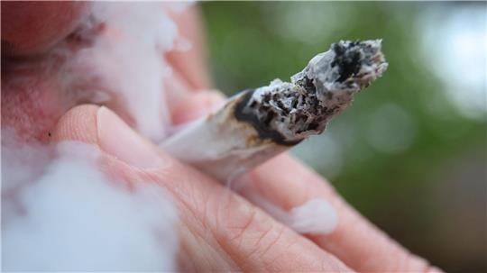 Laut Studie rauchte eine große Mehrheit der Cannabis-Konsumenten Joints. (Symbolbild)