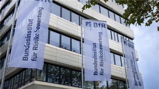 Laut dem Bundesinstitut für Risikobewertung sind 5 bis 10 Gramm Koffein-Pulver bereits potenziell tödlich. (Archivbild)