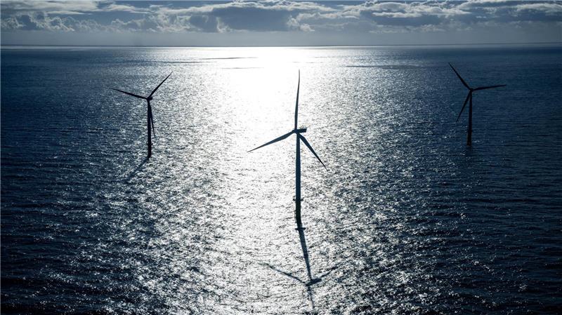Laut dem Bundeswirtschaftsministerium regelt das Windenergie-auf-See-Gesetz, dass Zuschläge nicht zurückgegeben werden dürften. (Symbolbild)