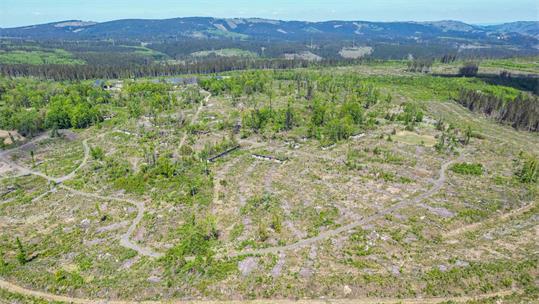 Wind turbines near the Tanne plant: Council rejects cancellation proposal