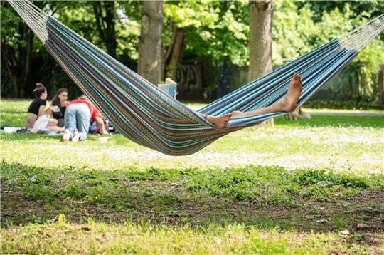 Laut einer Umfrage nutzen nur wenige Arbeitnehmerinnen und Arbeitnehmer in Deutschland die Möglichkeit, bezahlten Bildungsurlaub zu nehmen oder ein Sabbatical einzulegen.