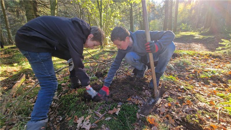 Schüler des Robert-Koch-Gymnasiums stellen einen neuen Rekord auf Zwei Kinder pflanzen im Wald einen Baum ein. Der rechte Junge hält einen Spaten in der Hand.