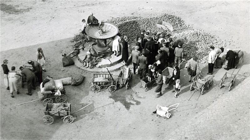 Nach dem Ende des Krieges: Nur die ärgsten Nazis fliegen raus Lebensmittel sind stets knapp und begehrt: Das Bild zeigt eine Kartoffelausgabe auf dem Goslarer Marktplatz im August 1945.