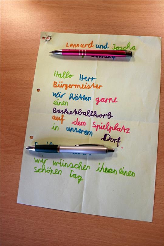 Lennard und Joscha haben schon verstanden, wie Demokratie funktioniert: Ihr Antrag kam beim Ortsrat gut an und ist jetzt Teil der Haushaltsberatungen. Foto: Hartmann