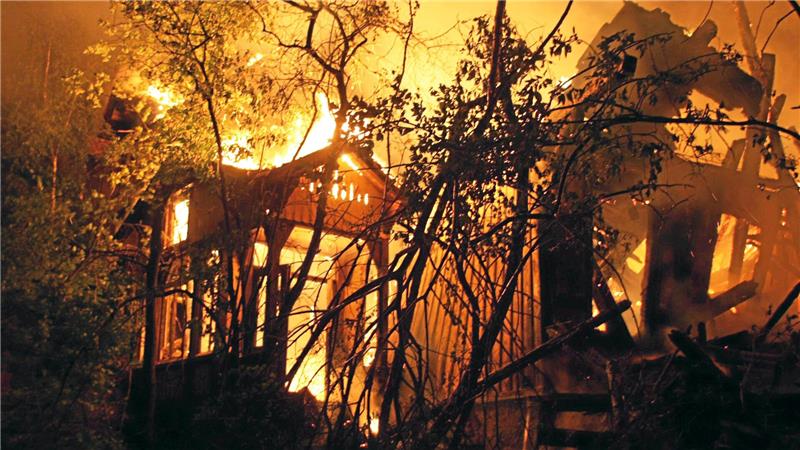 Ein brennendes Haus hinter Bäumen und Sträuchern in der Nacht