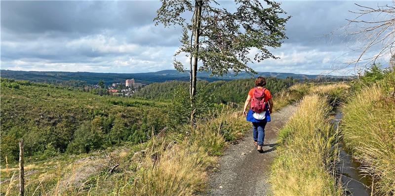 Herzweg rund um Altenau: Die GZ hat ihn getestet Links der Blick auf Altenau, rechts der Dammgraben: Zwischen den Stationen „Puls messen“ und „Atmung“ verläuft der Altenauer Herzweg auf dem Harzer-Hexenstieg und Wanderer erfahren ganz nebenbei etwas über die Bergbau-Historie und den aktuellen Waldwandel im Harz. Foto: Nachtweyh