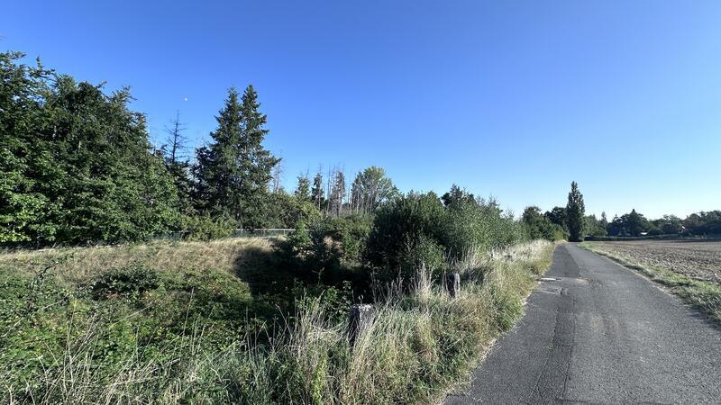 Statt eines Feriendorfs soll Harzburg günstige Wohnungen bekommen Links neben der Straße Am Horn ist aktuell noch ein Urwald. Dorthin sollte eigentlich ein Feriendorf, doch nun wird umgeplant.