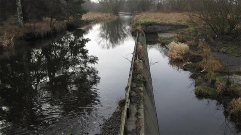 Fluss mit einer schmalen Steinmauer in der Mitte, umgeben von kahlen Bäumen und trockenem Gras unter bewölktem Himmel
