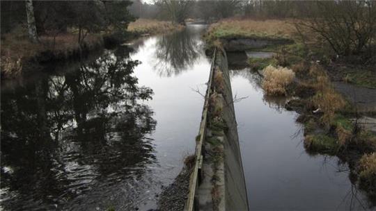 Fluss mit einer schmalen Steinmauer in der Mitte, umgeben von kahlen Bäumen und trockenem Gras unter bewölktem Himmel