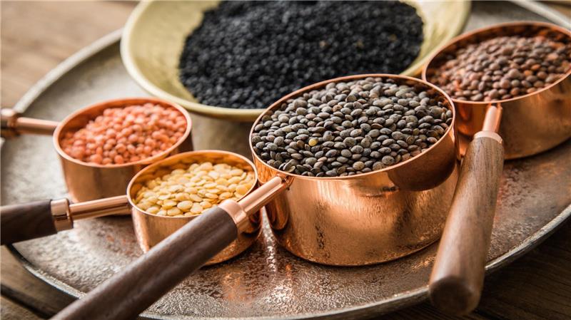 Linsen haben viel Eiweiß, das am besten mehrmals am Tag auf den Teller kommt.