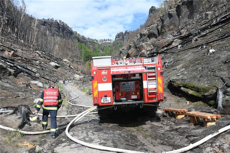 Waldbrand in Tschechien nahe der deutschen Grenze Löscharbeiten im tschechischen Nationalpark Böhmische Schweiz am Himmelfahrtstag.