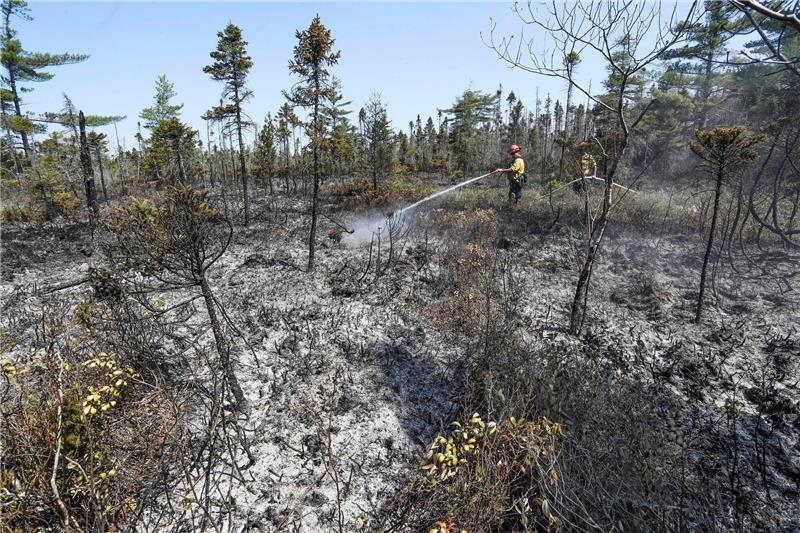 Lage in kanadischen Waldbrand-Gebieten entspannt sich leicht Löscharbeiten in einem Waldgebiet in Nova Scotia.