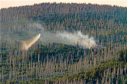 Löscheinsatz mit Hubschrauber am Sonntag am Brocken. Foto: Feuerwehr
