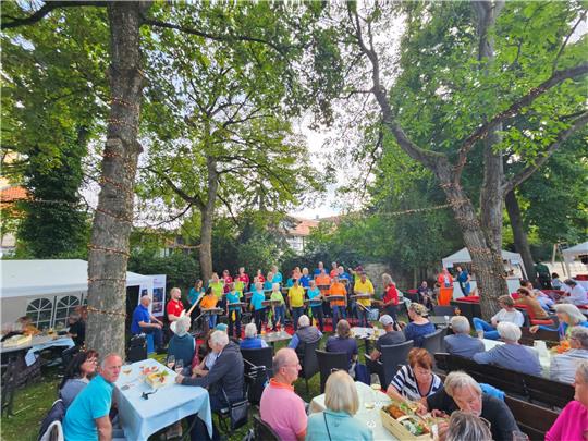 Lokale Künstler treten beim dritten Goslarer Weinfest auf: Pop Chor’n sorgt am Samstag für gute Laune.  Foto: Sowa