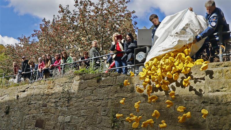 Los geht es: Die Enten werden vom THW in die Abzucht geworfen.